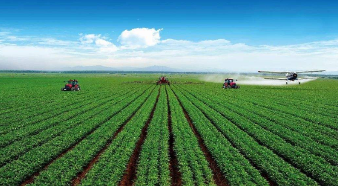 年轮里的乡土墨迹：农耕文明的文学记忆