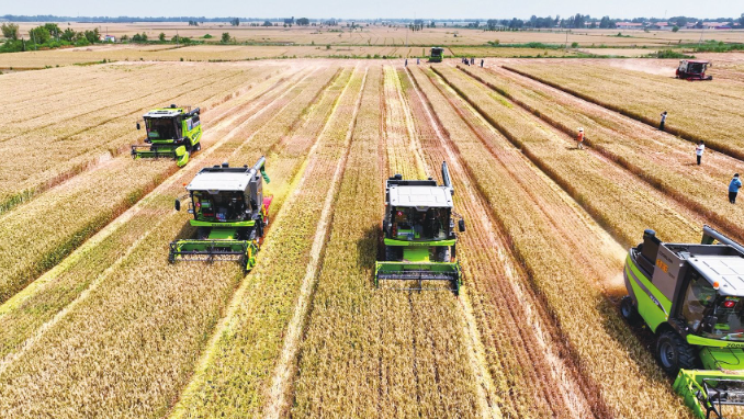 2025年惠农政策资讯全攻略：从补贴申请到产业扶持，农民必备指南