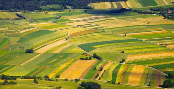上海金山：智慧农业博览会开幕，多项创新成果勾勒未来农业新图景