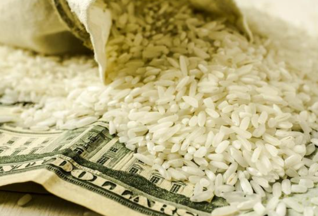 全球粮价波动下，国内农业市场风向调整：进口替代与出口机遇解析